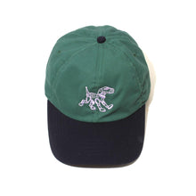 Load image into Gallery viewer, AW Robot Pet (Baseball Cap)
