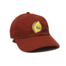 Load image into Gallery viewer, I Feel Sour (Baseball Cap)

