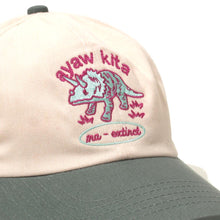 Load image into Gallery viewer, Ma-extinct (Baseball Cap)
